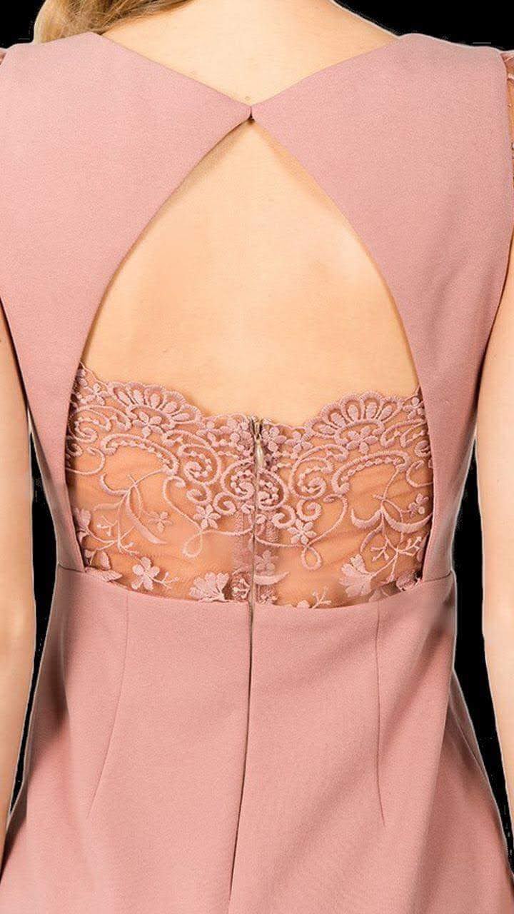 Mini Dress with Lace Cap Sleeves and Back Detail